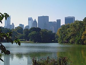 Central Park – New York city