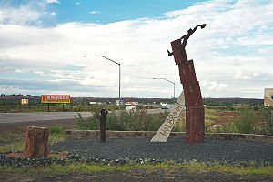 Nationaal Park: Petrified Forest