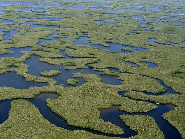 Everglades Nationaal Park – Florida