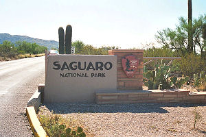 Saguaro Nationaal park