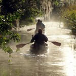 Pedellen in Everglades National Park