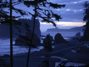 Ruby beach - Olympic National Park