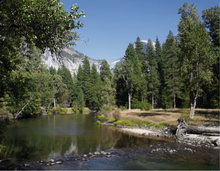 Yosemite Park