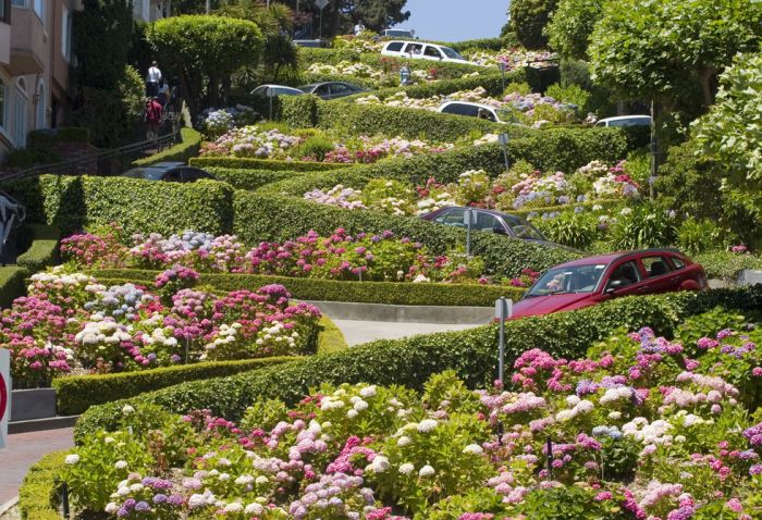 Lombard Street San Francisco