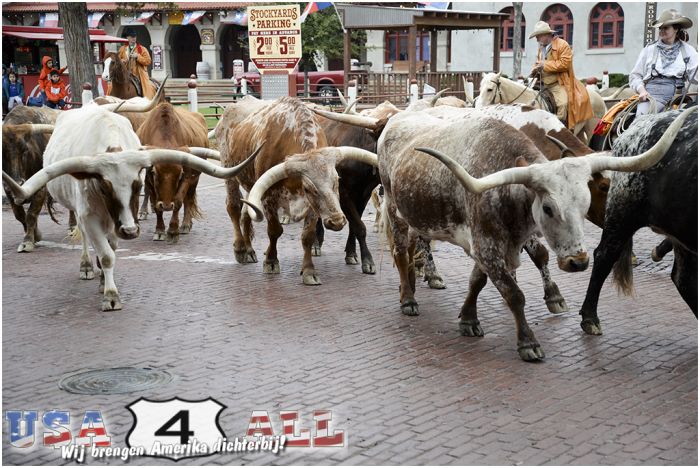 Stockyards-01