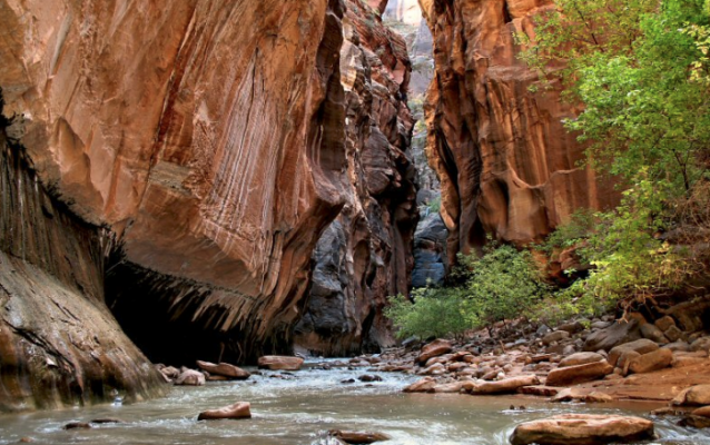 The Narrows – Zion National park