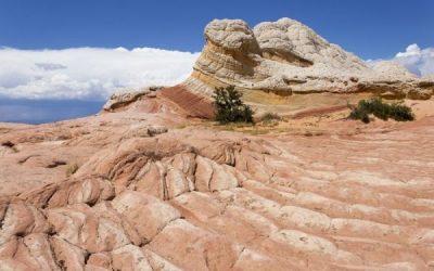 White Pocket – Een klein maar onvoorstelbaar mooi stukje natuur!