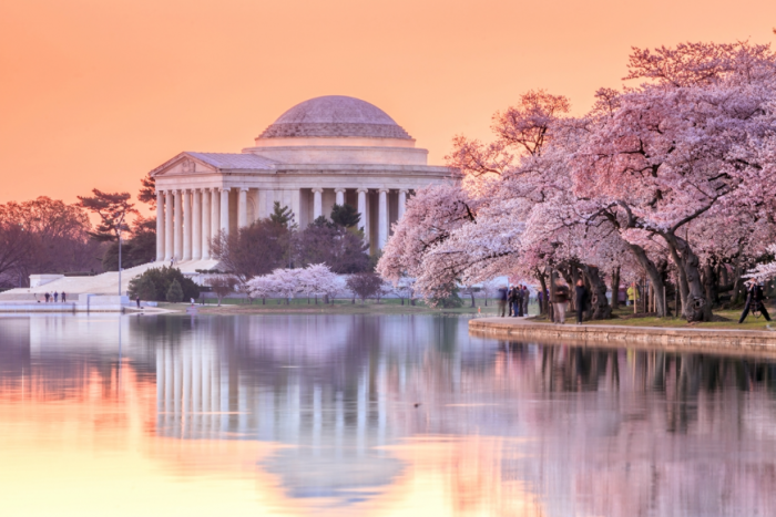 Cherry Blossom Festival – Washington D.C.