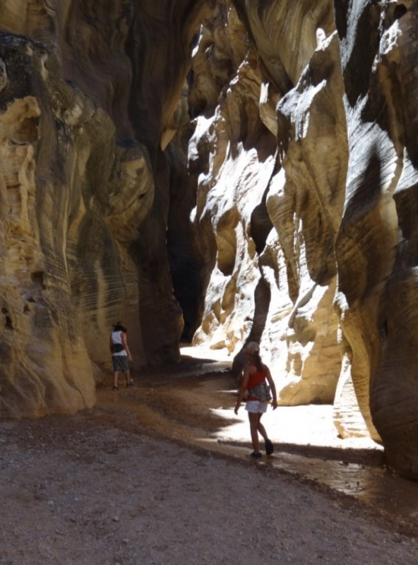 Vincent en Francis - Lopen door Willis Creek